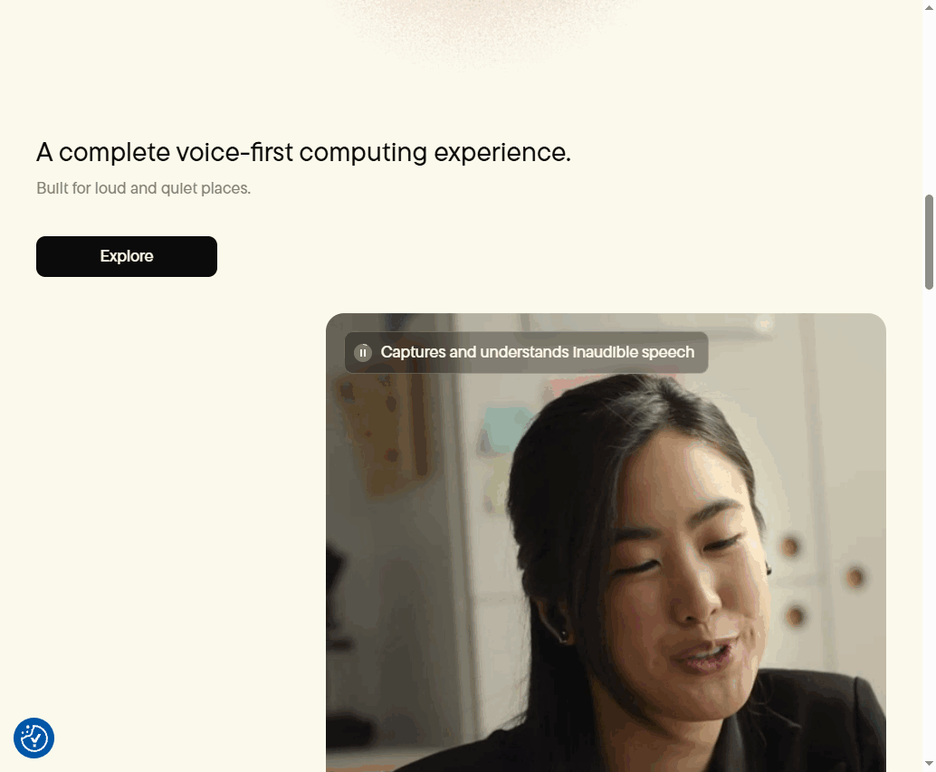 Subtle Computing 网站截图
